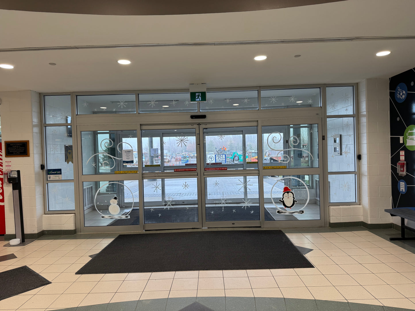 2025 Custom Window & Wall Murals
