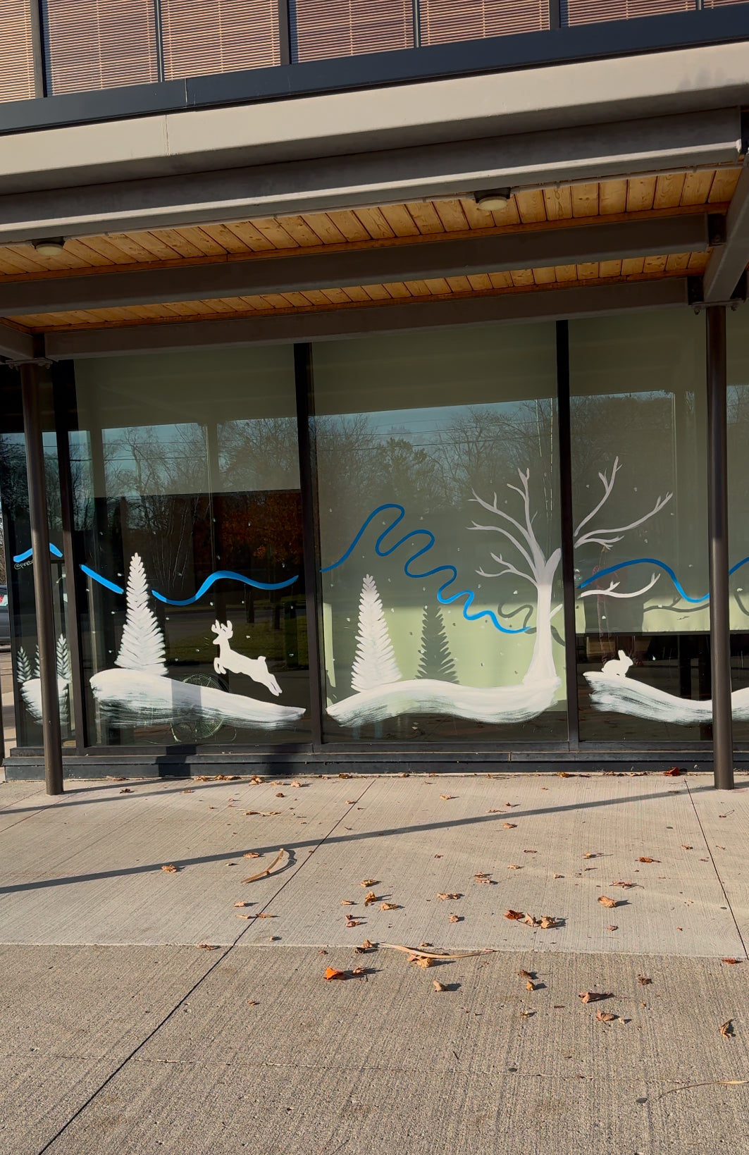 2025 Custom Window & Wall Murals