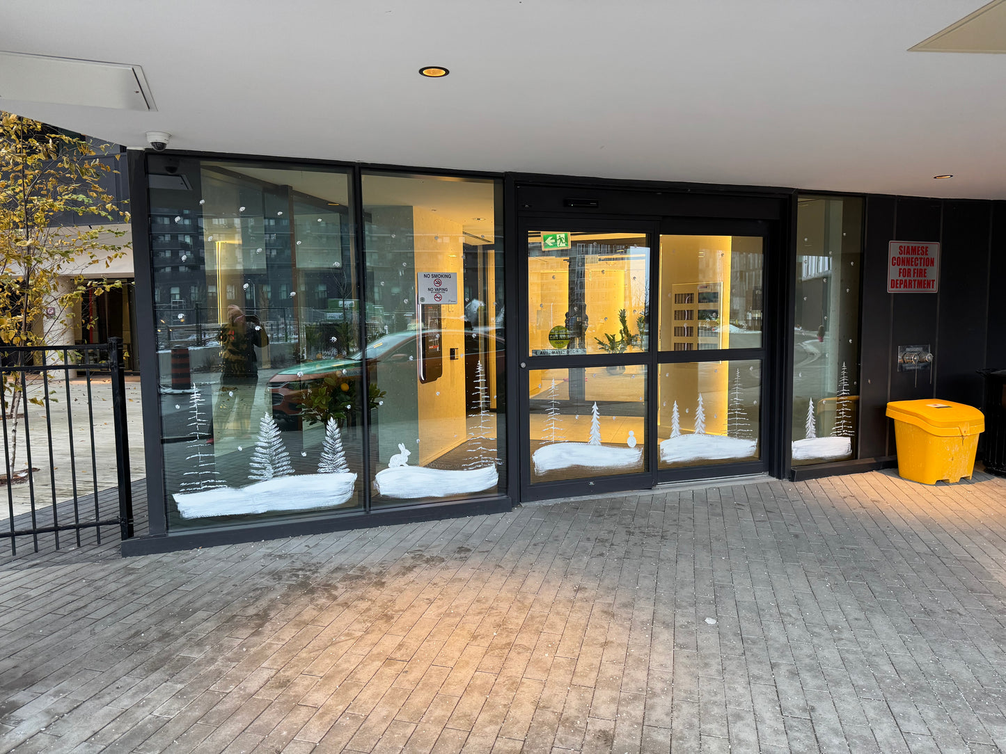 2025 Custom Window & Wall Murals