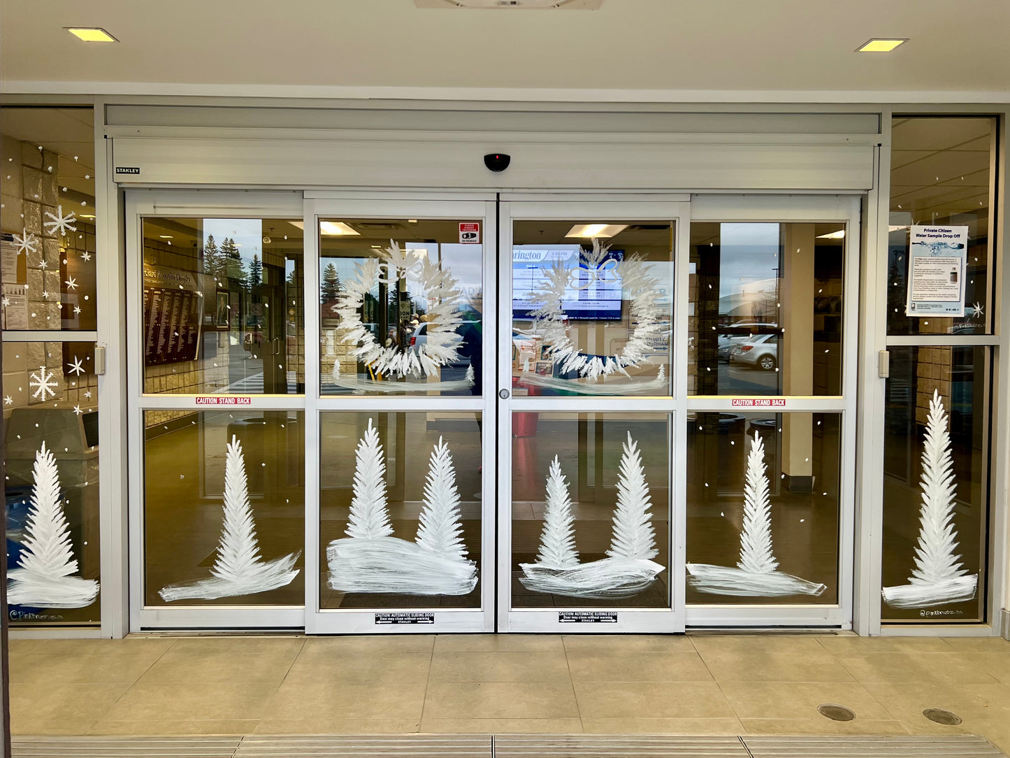 2025 Custom Window & Wall Murals
