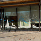 2025 Custom Window & Wall Murals