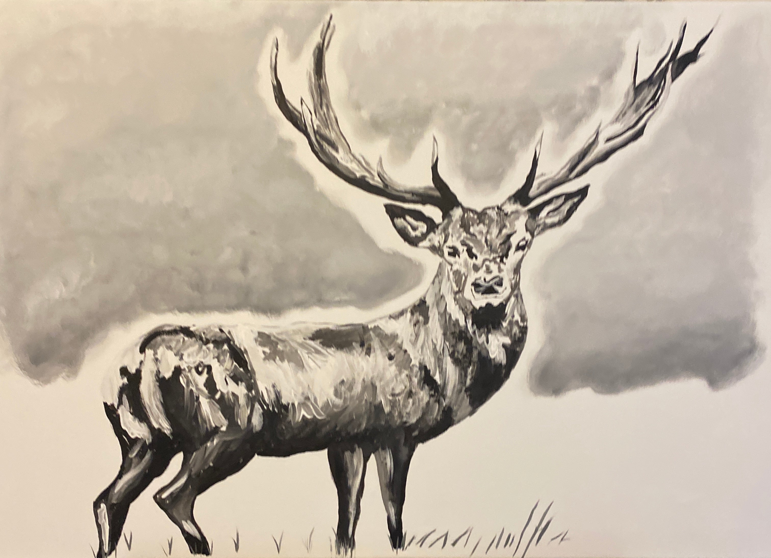 Deer artists deals