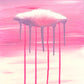 Sailor’s Delight